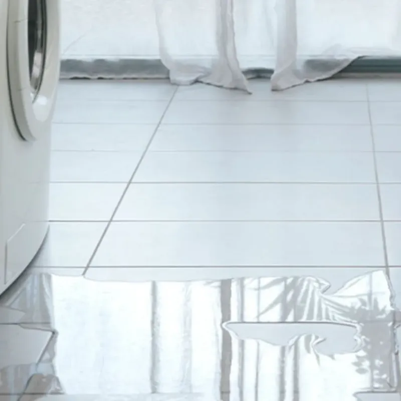 Appliance Leak Cleanup in Douglas, WY